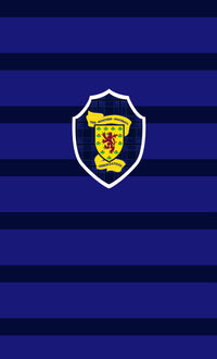 Scottish FA 1998 World Cup Retro Gym Towel(50x30cm)