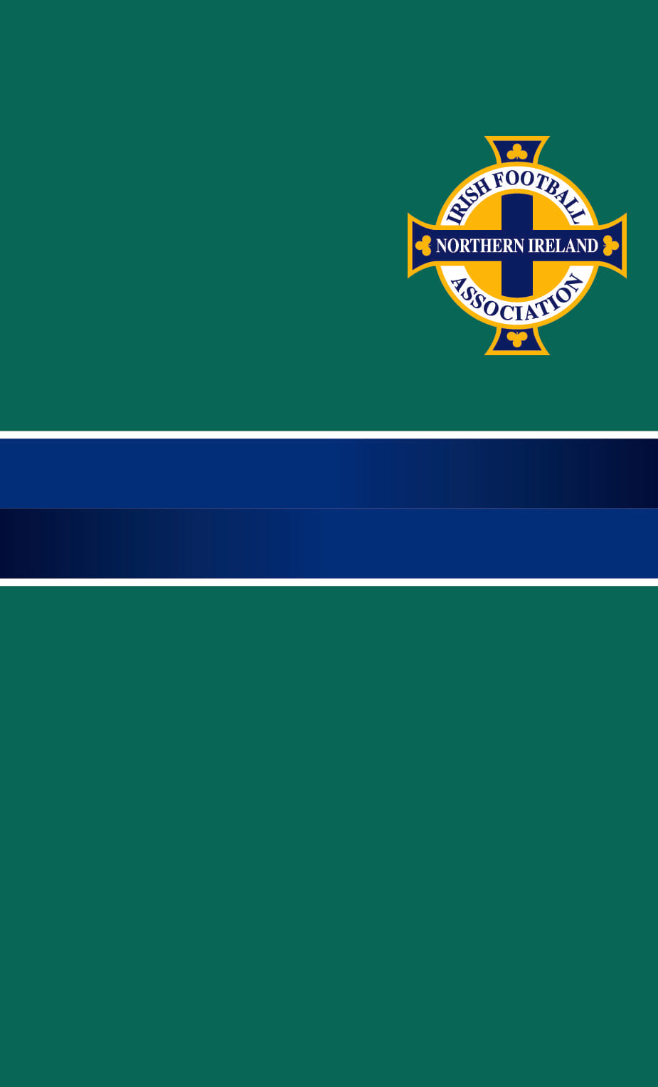 Northern Ireland FA 2016 Euro Retro Gym Towel