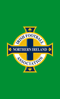 Northern Ireland FA Badge Towel Gym Towel