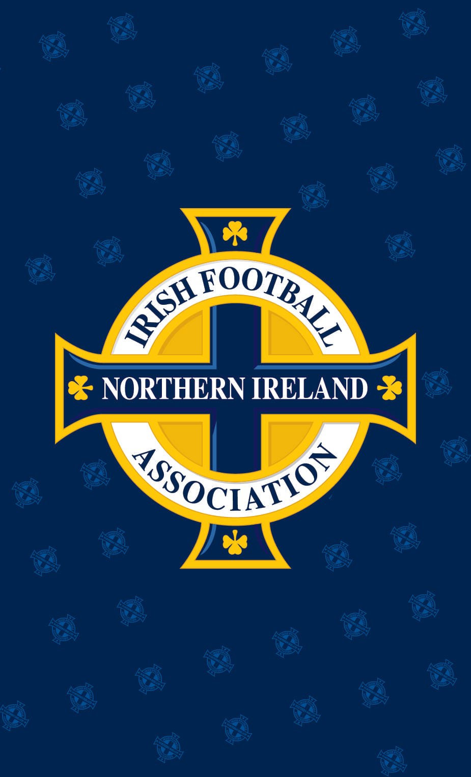 Northern Ireland FA Pattern Towel Gym Towel