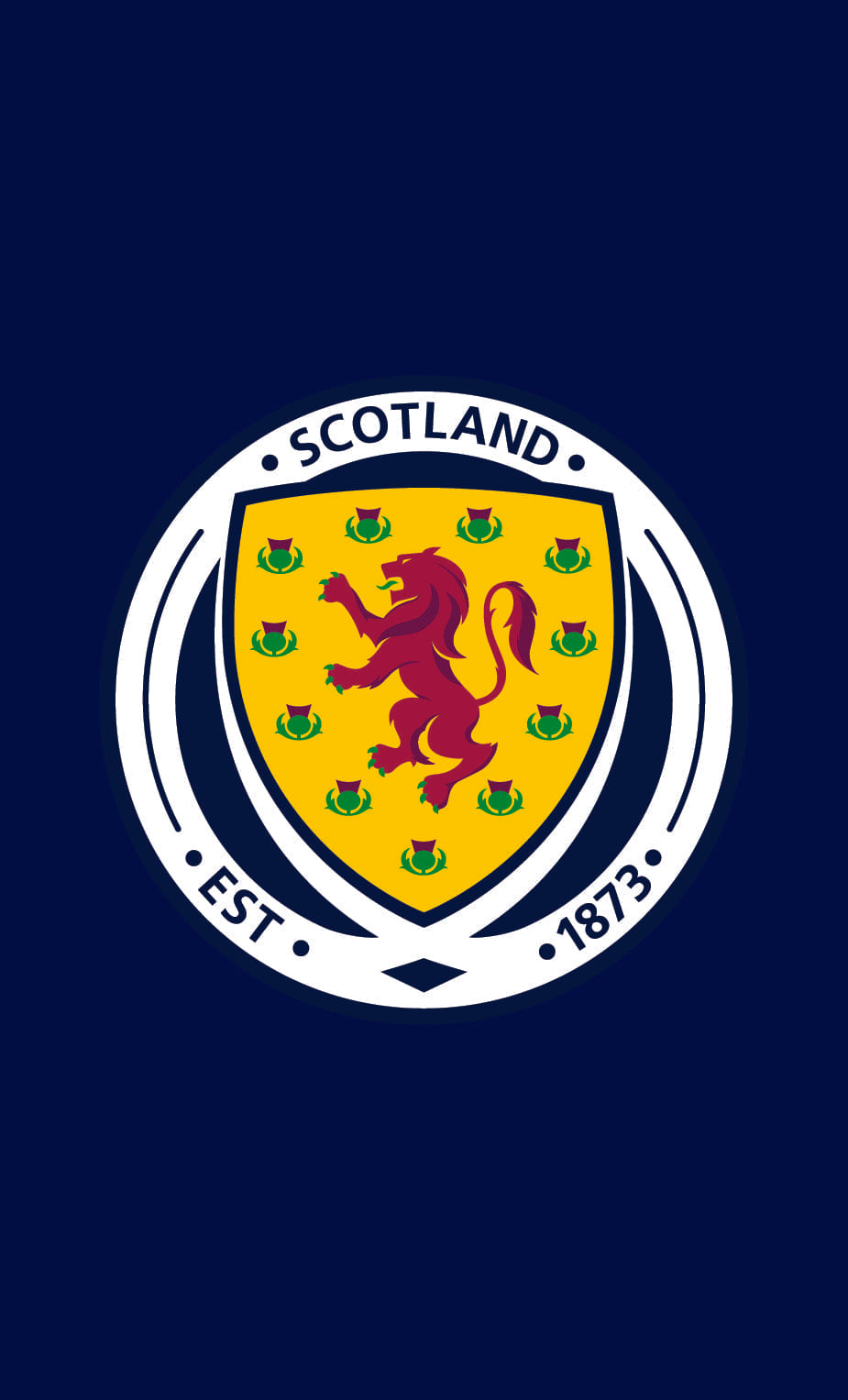 Scottish FA Badge Gym Towel (50x30cm)