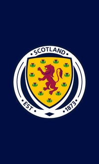 Scottish FA Badge Gym Towel (50x30cm)