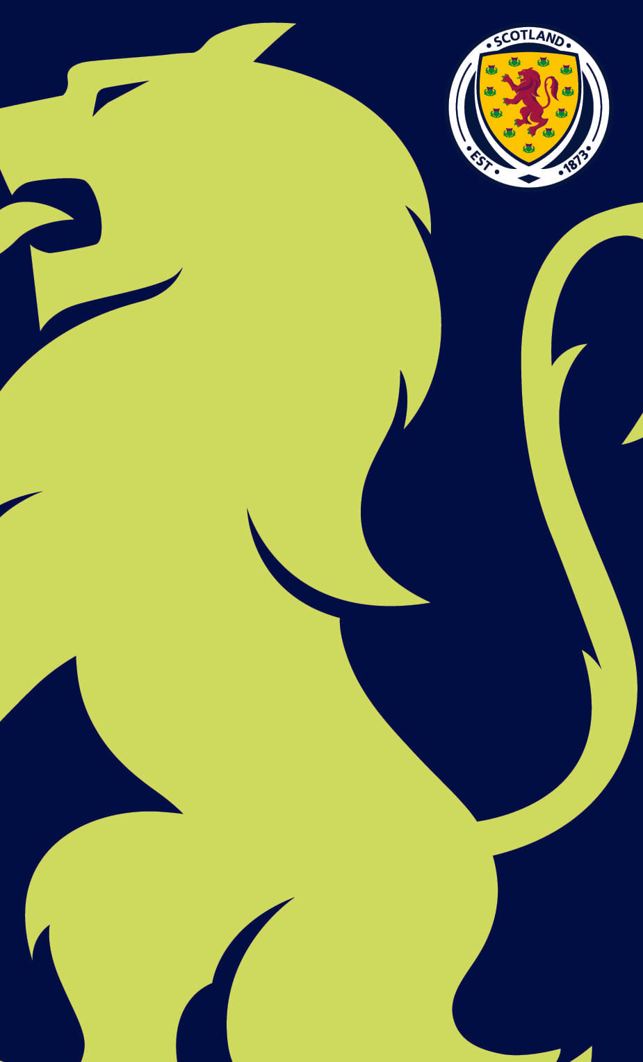 Scottish FA Lion Gym Towel (50x30cm)