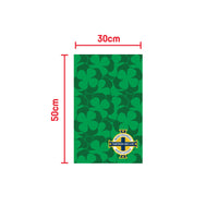 Northern Ireland FA St Patrick's Day 2026 Gym Towel