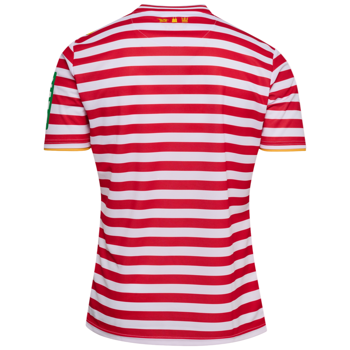 KÖLN 25/26 KARNEVAL JERSEY S/S